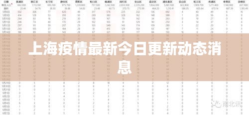 上海疫情最新今日更新动态消息