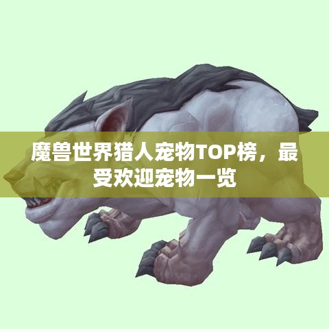 魔兽世界猎人宠物TOP榜，最受欢迎宠物一览