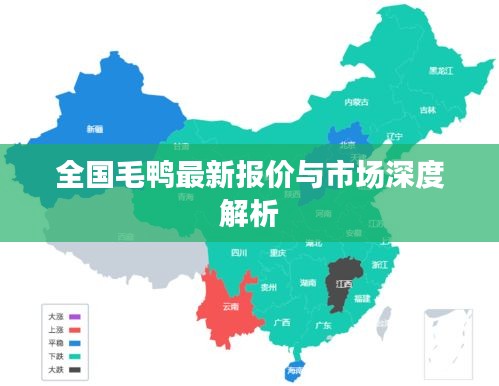 全国毛鸭最新报价与市场深度解析