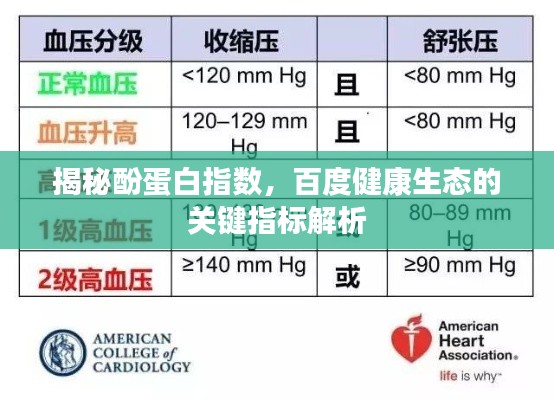 揭秘酚蛋白指数，百度健康生态的关键指标解析