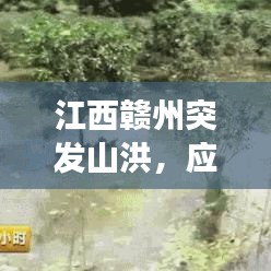 江西赣州突发山洪，应急管理与救援的严峻考验