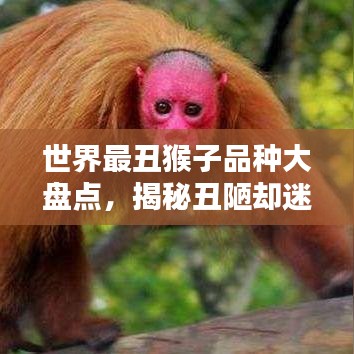 世界最丑猴子品种大盘点，揭秘丑陋却迷人的猴类榜单