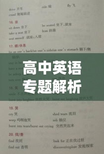 高中英语专题解析课教案详解，助力学生突破语言学习难点