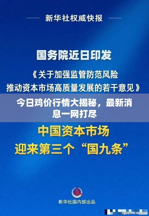 今日鸡价行情大揭秘，最新消息一网打尽