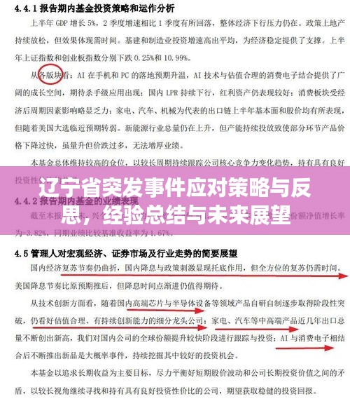 辽宁省突发事件应对策略与反思，经验总结与未来展望