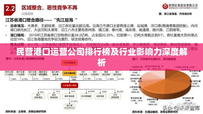 民营港口运营公司排行榜及行业影响力深度解析