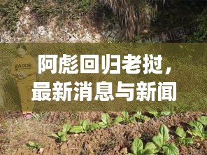 阿彪回归老挝，最新消息与新闻动态