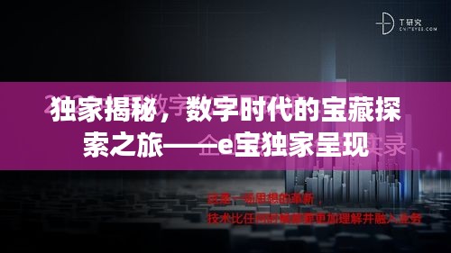 独家揭秘，数字时代的宝藏探索之旅——e宝独家呈现