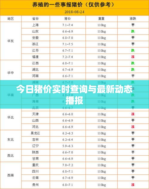 今日猪价实时查询与最新动态播报