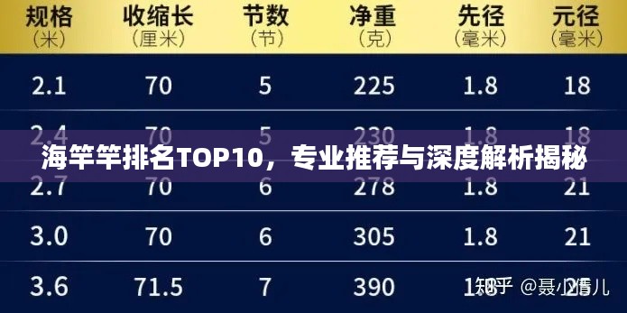 海竿竿排名TOP10，专业推荐与深度解析揭秘