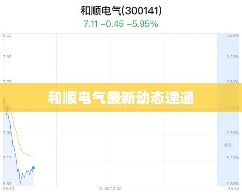 和顺电气最新动态速递