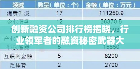 创新融资公司排行榜揭晓，行业领军者的融资秘密武器大揭秘！