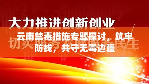 云南禁毒措施专题探讨，筑牢防线，共守无毒边疆