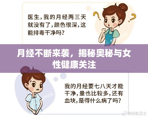 月经不断来袭，揭秘奥秘与女性健康关注