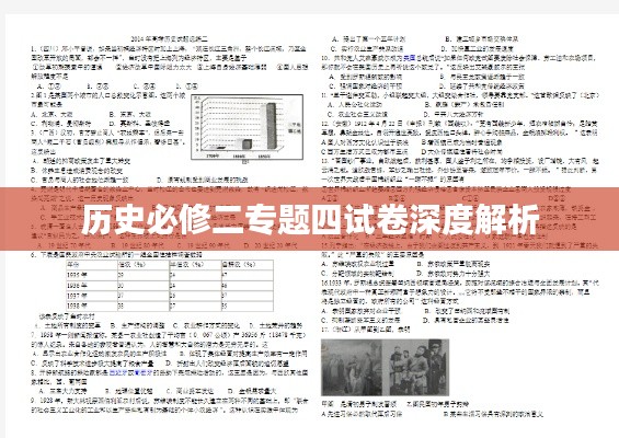 历史必修二专题四试卷深度解析