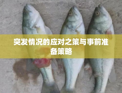 突发情况的应对之策与事前准备策略