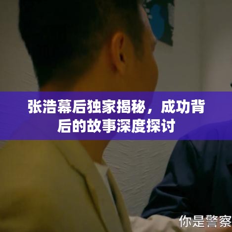 张浩幕后独家揭秘，成功背后的故事深度探讨