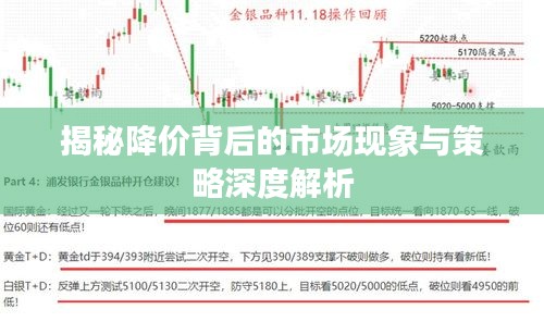 揭秘降价背后的市场现象与策略深度解析