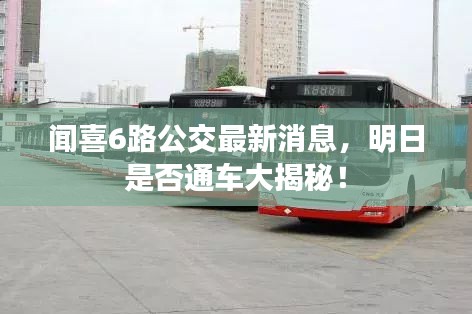 闻喜6路公交最新消息，明日是否通车大揭秘！
