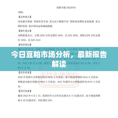 今日豆粕市场分析，最新报告解读
