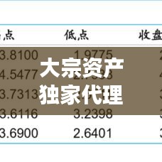 大宗资产独家代理，引领资产管理新时代的策略优势揭秘