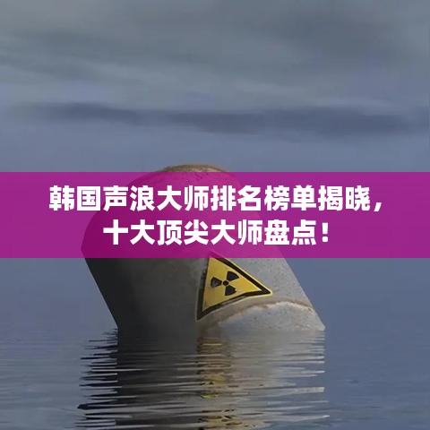 韩国声浪大师排名榜单揭晓，十大顶尖大师盘点！