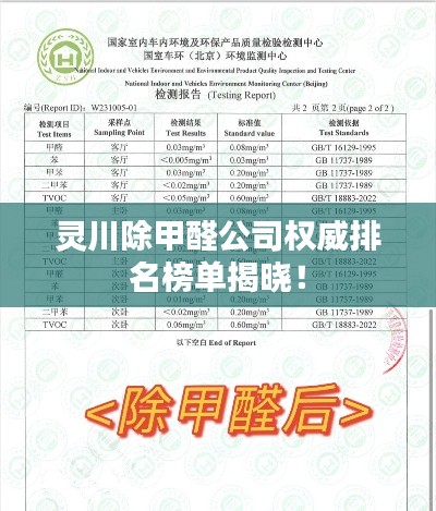 灵川除甲醛公司权威排名榜单揭晓！