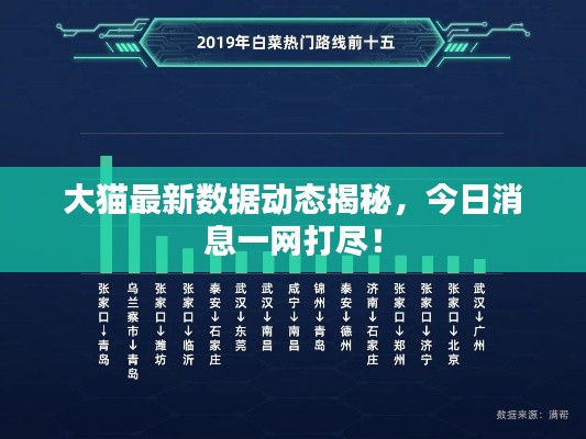 大猫最新数据动态揭秘，今日消息一网打尽！