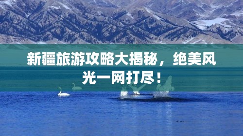 新疆旅游攻略大揭秘，绝美风光一网打尽！
