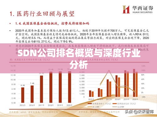SDN公司排名概览与深度行业分析