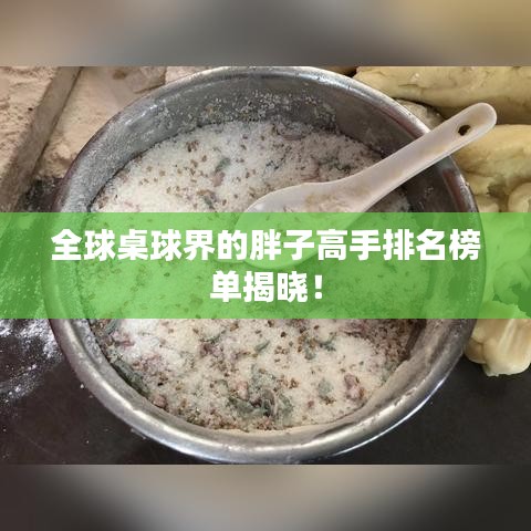 全球桌球界的胖子高手排名榜单揭晓！